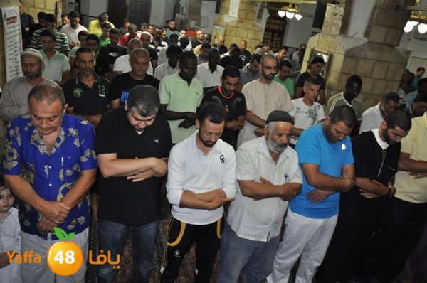 trawe7 7san bek 715 (10).JPG